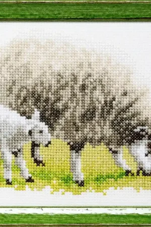 Pako Schaap met lammetje borduren (pakket) 210.899 Beste Prijs