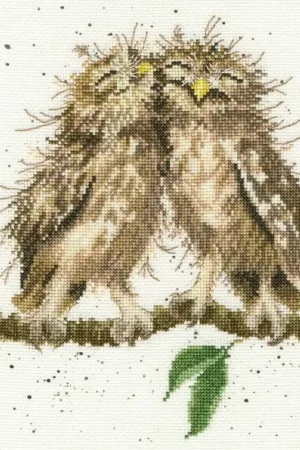 Birds Of A Feather borduren (pakket) Veilige Betaling