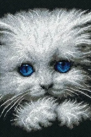 RTO Fluffy kitten borduren (pakket) Betaalbaar