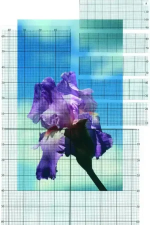 Ontwerp uw eigen borduurpatroon met deze rasters. Flitsaanbieding