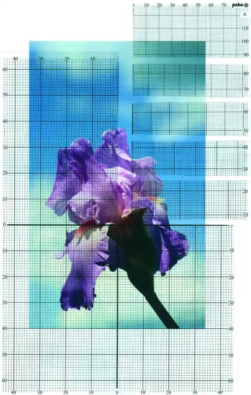 Ontwerp uw eigen borduurpatroon met deze rasters. Flitsaanbieding