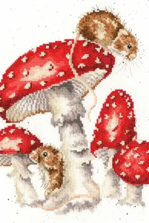 Betaalbaar Bothy Threads Hannah Dale The Fairy Ring borduren XHD101