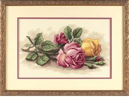 Dimensions Rose Cuttings 13720 Fabrieksprijs