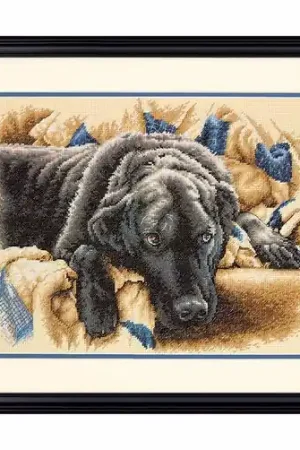 Dimensions Guilty Pleasures 70-35321 Shop Nu