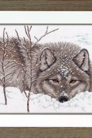 Weekendaanbieding Dimensions Snow Daze 70-35377