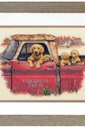 Dimensions Golden Ride 70-35405 Op = Op