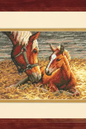 Dimensions Good Morning 70-65119 Nu Kopen