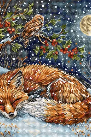 Alleen Vandaag Leti Stitch Frosted Dreams L9938 borduren (pakket)