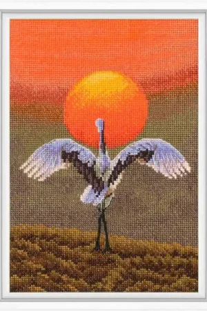 Seizoensaanbieding RTO Dance M1053 borduren (pakket)