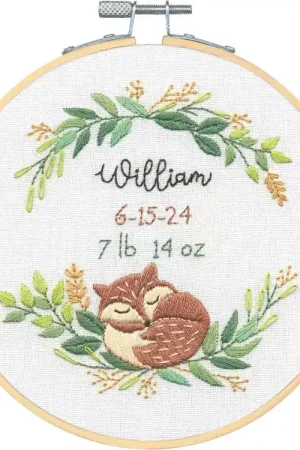 Dimensions Geboortebord Fox Birth Record 72-70392 borduren (pakket) Meest Verkocht