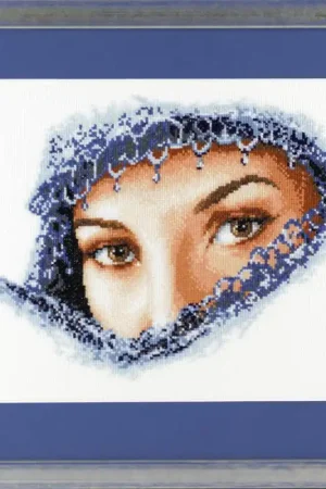 Pako Mystery eyes borduren (pakket) Tijdelijk Beschikbaar