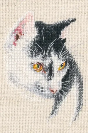 Shop Nu RTO Fascinating borduren (pakket) C423