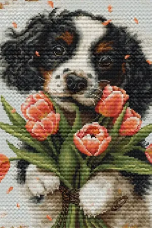 Bestseller Luca-S The Cocker Spaniel Puppy borduren (pakket) BU5067