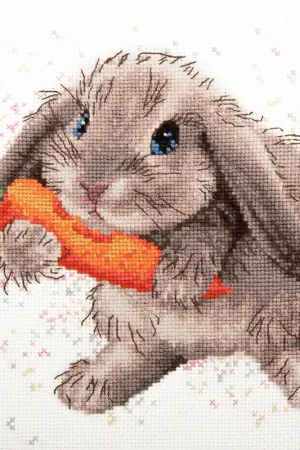 Alleen Vandaag Momentos Mágicos M-526 Rabbit borduren (pakket)