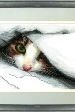 Momentos Mágicos M-91 Hide and seek borduren (pakket) Gratis Retour