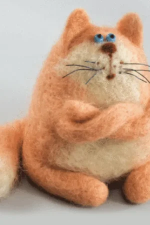 Goedkoop Momentos Mágicos B-140 Theodore Naaldvilt pakket