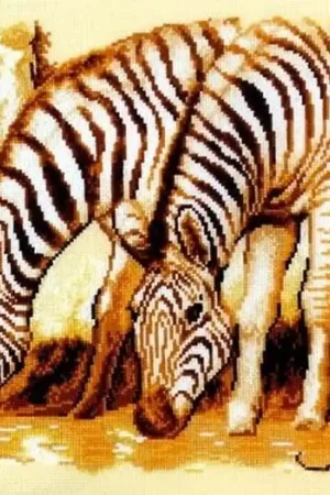 Betrouwbaar Vervaco Zebra's borduren (pakket) **