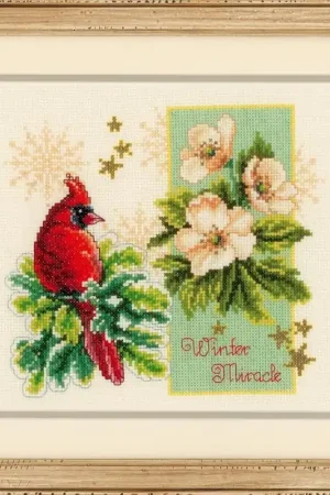 Vervaco Winter Miracle borduren (pakket) PN-0145144 ** Lage Kosten