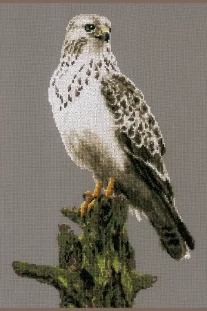 Beste Prijs LanArte Valk borduren (pakket) PN-0172743