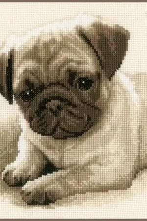 Direct Verzonden Vervaco Mopshond borduren (pakket)