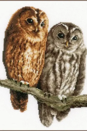 Weekendaanbieding Vervaco Uilen borduren (pakket) PN-0150063